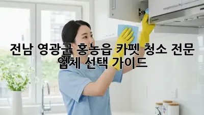 전남 영광군 홍농읍 카펫 청소 전문 업체 선택 가이드