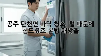 공주 탄천면 바닥 청소🧹 🐶🐱 털 때문에 힘드셨죠? 꿀팁 대방출!